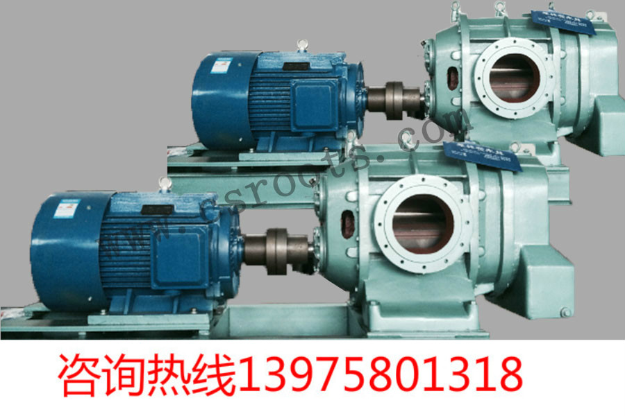 羅茨鼓風(fēng)機