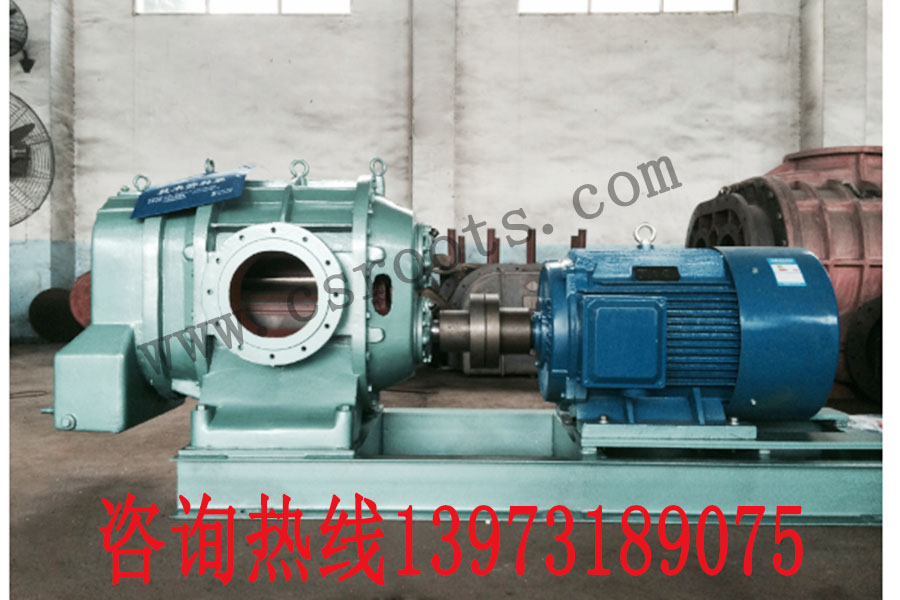 長(cháng)沙羅茨風(fēng)機
